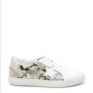 Steve Madden Claris Star Animal Print Sneaker